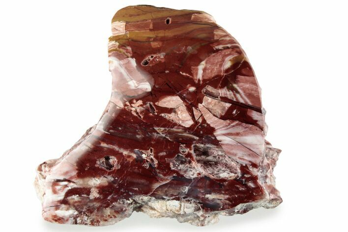 Polished Royal Flamingo Agate (Howardite) - Nevada #358645